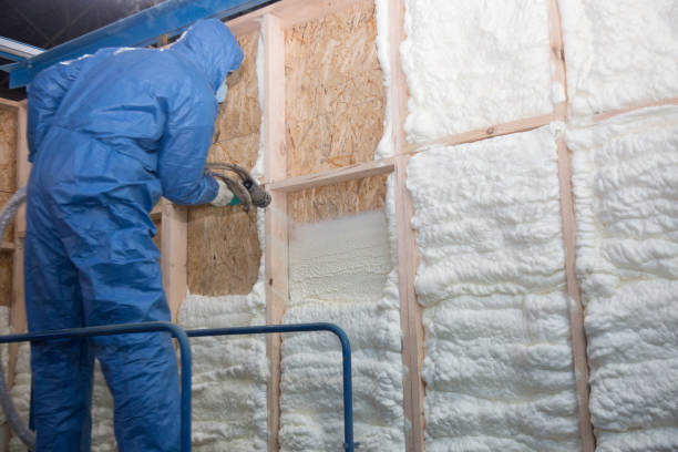 Best Batt and Roll Insulation  in Edna, TX